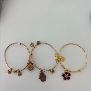 Gold Alex and Ani Charm Bracelets Set